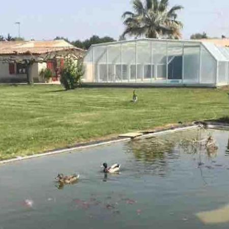 Appartement A 10Km De La Grande Motte, Palavas... リュネル エクステリア 写真