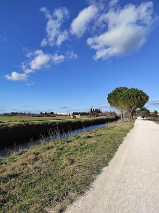 Appartement A 10Km De La Grande Motte, Palavas... リュネル エクステリア 写真